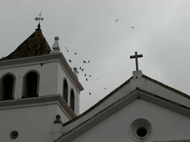 LambeLambe.com - S�o Paulo 449 anos