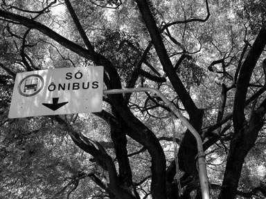LambeLambe.com - Avenida Paulista