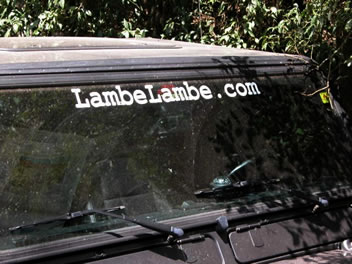 LambeLambe.com - Action Day - Serra da Cantareira