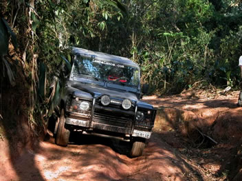 LambeLambe.com - Action Day - Serra da Cantareira