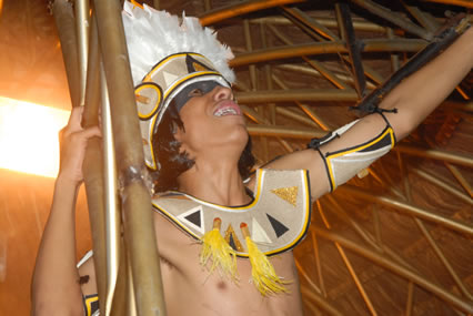 LambeLambe.com - Carnaval 2008 - Grupo Especial