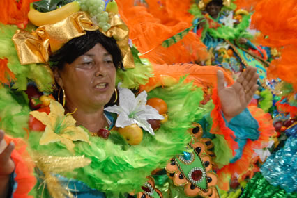 LambeLambe.com - Carnaval 2008 - Grupo Especial