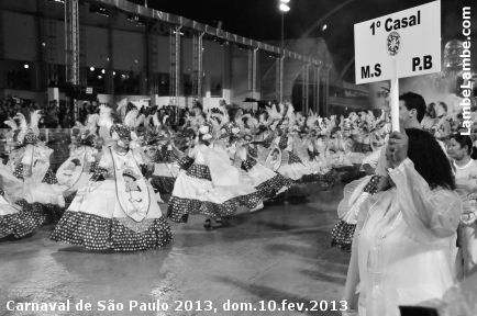 LambeLambe.com - Carnaval de So Paulo 2013 - Domingo, Grupo de Acesso