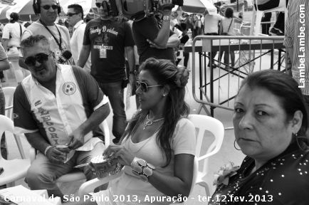 LambeLambe.com - Carnaval de So Paulo 2013 - Apurao