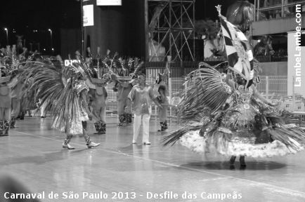 LambeLambe.com - Carnaval de So Paulo 2013 - Desfile das Campes