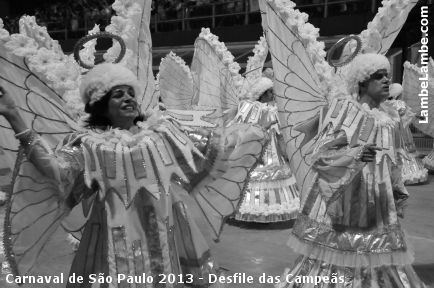 LambeLambe.com - Carnaval de So Paulo 2013 - Desfile das Campes