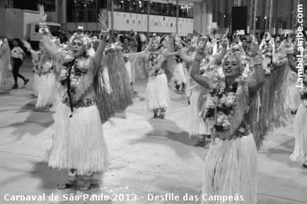 LambeLambe.com - Carnaval de So Paulo 2013 - Desfile das Campes