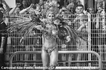 LambeLambe.com - Carnaval de So Paulo, Anhembi 2014, Grupo Especial, sbado