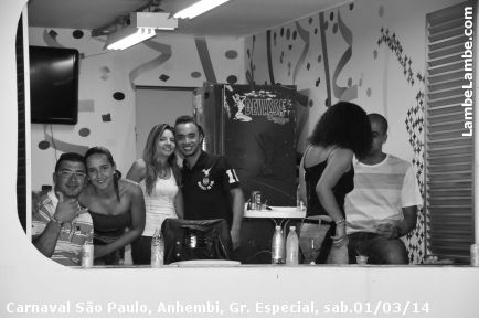 LambeLambe.com - Carnaval de So Paulo, Anhembi 2014, Grupo Especial, sbado