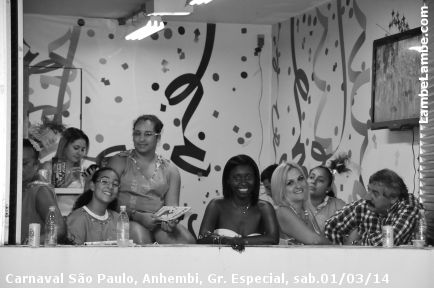 LambeLambe.com - Carnaval de So Paulo, Anhembi 2014, Grupo Especial, sbado