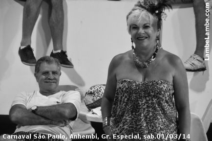 LambeLambe.com - Carnaval de So Paulo, Anhembi 2014, Grupo Especial, sbado