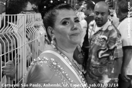 LambeLambe.com - Carnaval de So Paulo, Anhembi 2014, Grupo Especial, sbado