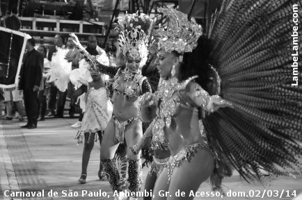 LambeLambe.com - Carnaval de So Paulo, Anhembi 2014, Grupo de Acesso, domingo