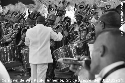 LambeLambe.com - Carnaval de So Paulo, Anhembi 2014, Grupo de Acesso, domingo