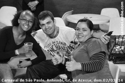 LambeLambe.com - Carnaval de So Paulo, Anhembi 2014, Grupo de Acesso, domingo