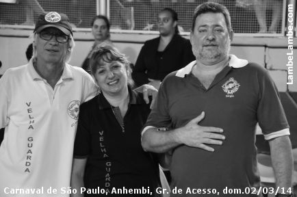 LambeLambe.com - Carnaval de So Paulo, Anhembi 2014, Grupo de Acesso, domingo