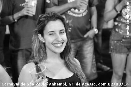 LambeLambe.com - Carnaval de So Paulo, Anhembi 2014, Grupo de Acesso, domingo