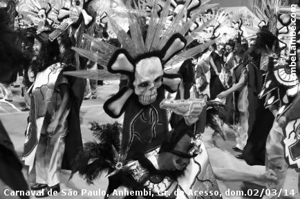 LambeLambe.com - Carnaval de So Paulo, Anhembi 2014, Grupo de Acesso, domingo