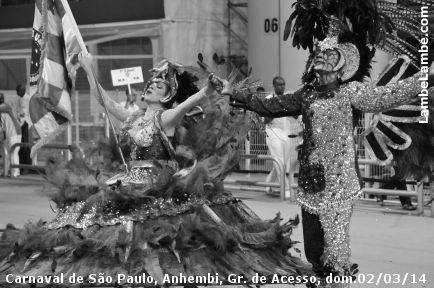 LambeLambe.com - Carnaval de So Paulo, Anhembi 2014, Grupo de Acesso, domingo