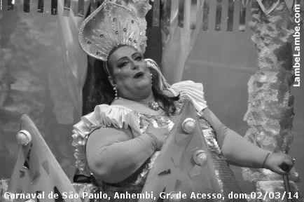 LambeLambe.com - Carnaval de So Paulo, Anhembi 2014, Grupo de Acesso, domingo