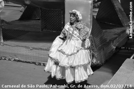 LambeLambe.com - Carnaval de So Paulo, Anhembi 2014, Grupo de Acesso, domingo