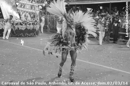 LambeLambe.com - Carnaval de So Paulo, Anhembi 2014, Grupo de Acesso, domingo