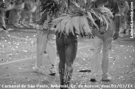 LambeLambe.com - Carnaval de So Paulo, Anhembi 2014, Grupo de Acesso, domingo