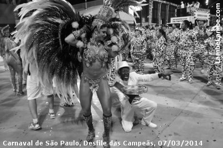 LambeLambe.com - Carnaval de So Paulo, Anhembi 2014, Desfile das Campes