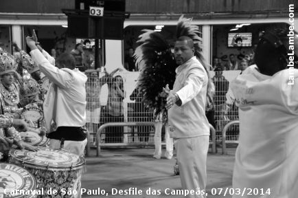 LambeLambe.com - Carnaval de So Paulo, Anhembi 2014, Desfile das Campes