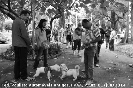 LambeLambe.com - Feira de Automveis Antigos, F.P.A.A, Parque da Luz
