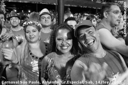 LambeLambe.com - Carnaval de So Paulo 2015, Grupo Especial, Sbado, Sambdromo Anhembi