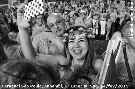 LambeLambe.com - Carnaval de So Paulo 2015, Grupo Especial, Sbado, Sambdromo Anhembi