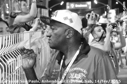 LambeLambe.com - Carnaval de So Paulo 2015, Grupo Especial, Sbado, Sambdromo Anhembi