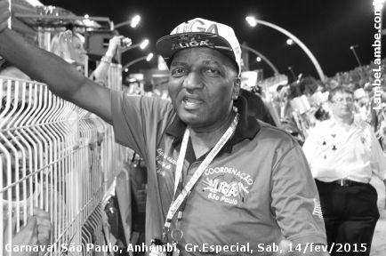 LambeLambe.com - Carnaval de So Paulo 2015, Grupo Especial, Sbado, Sambdromo Anhembi