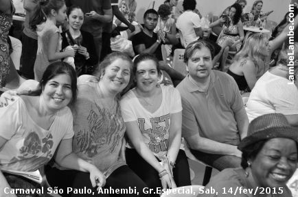 LambeLambe.com - Carnaval de So Paulo 2015, Grupo Especial, Sbado, Sambdromo Anhembi