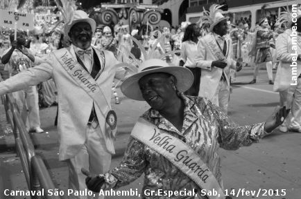 LambeLambe.com - Carnaval de So Paulo 2015, Grupo Especial, Sbado, Sambdromo Anhembi