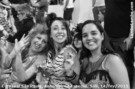 LambeLambe.com - Carnaval de So Paulo 2015, Grupo Especial, Sbado, Sambdromo Anhembi