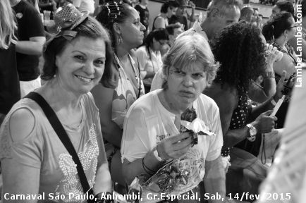 LambeLambe.com - Carnaval de So Paulo 2015, Grupo Especial, Sbado, Sambdromo Anhembi