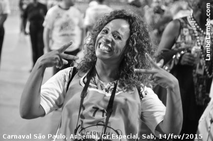 LambeLambe.com - Carnaval de So Paulo 2015, Grupo Especial, Sbado, Sambdromo Anhembi