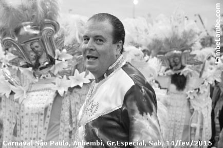 LambeLambe.com - Carnaval de So Paulo 2015, Grupo Especial, Sbado, Sambdromo Anhembi