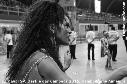 LambeLambe.com - Carnaval de So Paulo, Desfile das Campes 2015, 6a.f, Sambdromo Anhembi