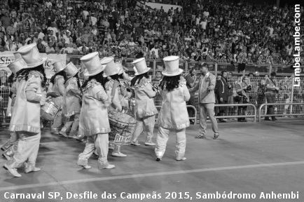 LambeLambe.com - Carnaval de So Paulo, Desfile das Campes 2015, 6a.f, Sambdromo Anhembi