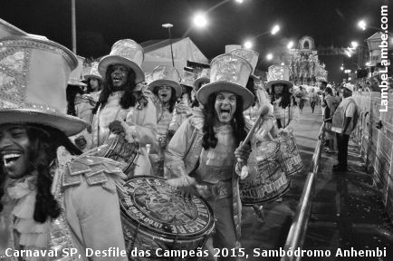 LambeLambe.com - Carnaval de So Paulo, Desfile das Campes 2015, 6a.f, Sambdromo Anhembi