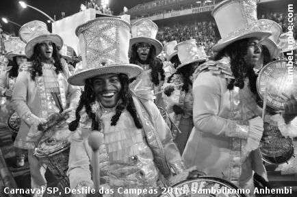 LambeLambe.com - Carnaval de So Paulo, Desfile das Campes 2015, 6a.f, Sambdromo Anhembi