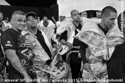 LambeLambe.com - Carnaval de So Paulo, Desfile das Campes 2015, 6a.f, Sambdromo Anhembi