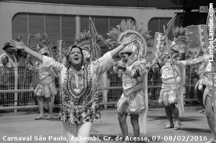 LambeLambe.com - Carnaval So Paulo, Sambdromo Anhembi, Grupo de Acesso, Domingo