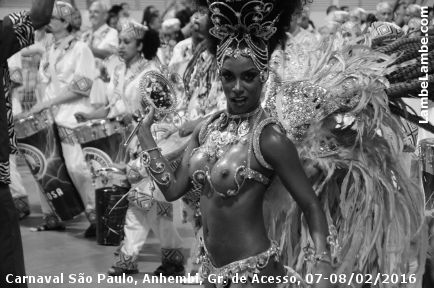 LambeLambe.com - Carnaval So Paulo, Sambdromo Anhembi, Grupo de Acesso, Domingo