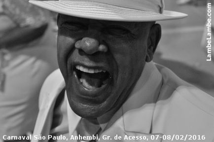 LambeLambe.com - Carnaval So Paulo, Sambdromo Anhembi, Grupo de Acesso, Domingo