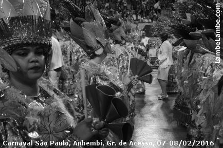 LambeLambe.com - Carnaval So Paulo, Sambdromo Anhembi, Grupo de Acesso, Domingo