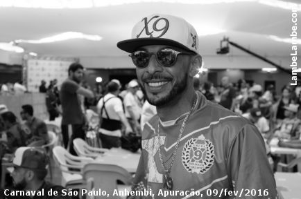 LambeLambe.com - Carnaval de So Paulo, Sambdromo Anhembi, Apurao 2016